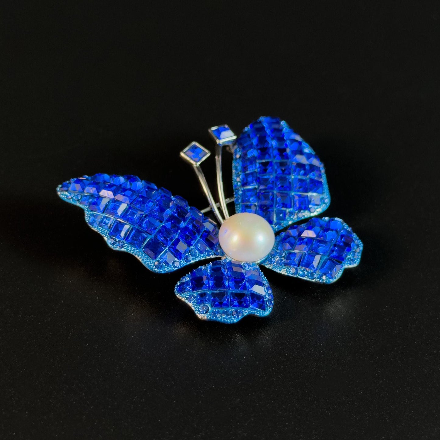 Klein blue zircon butterfly