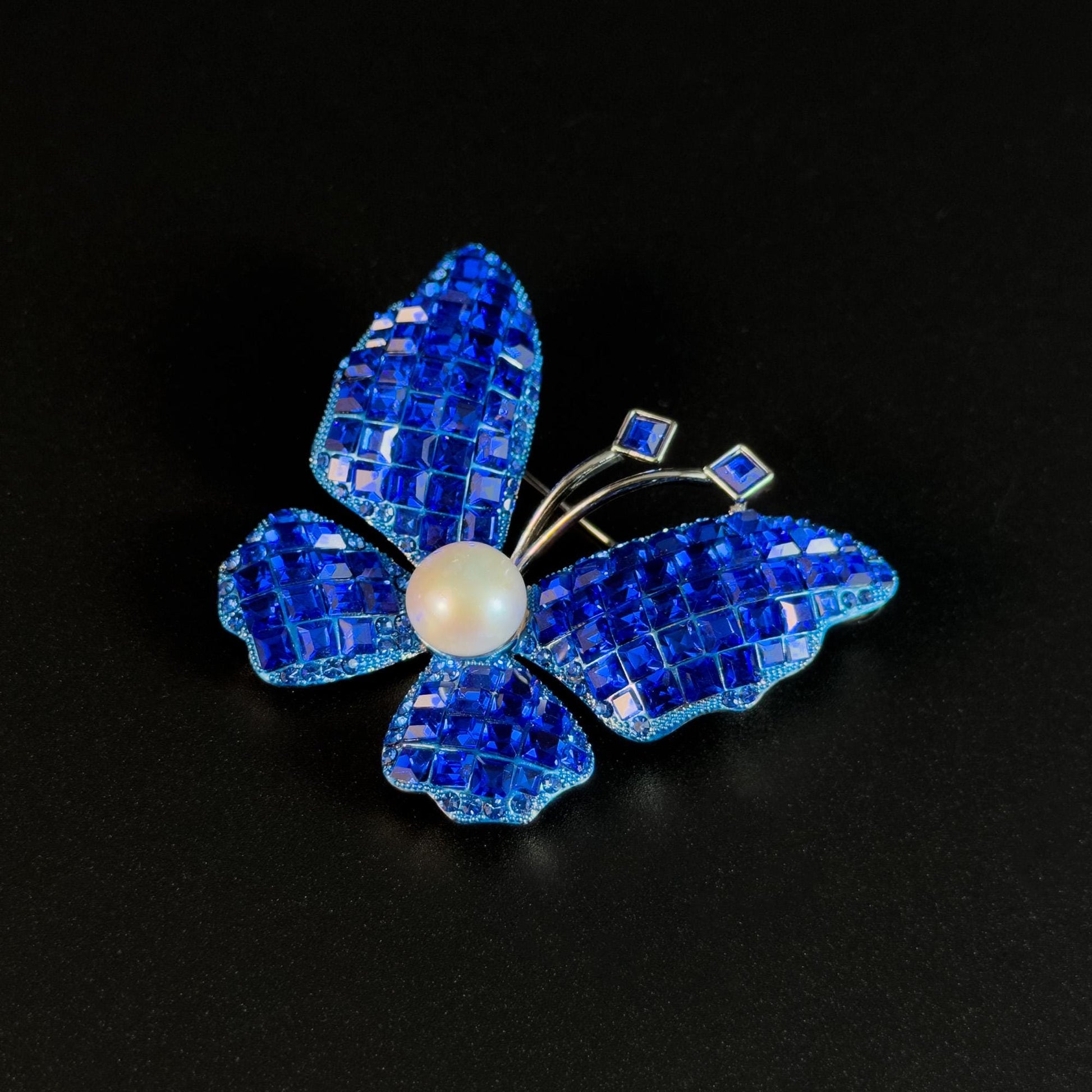 Klein blue zircon butterfly